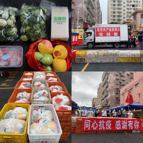 四步走保障“菜篮子” 宝投集团全力守护居民“慢生活”下的农产品供应