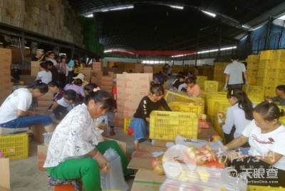 宾川县富鑫农产品开发有限责任公司 深耕农产品开发，助力乡村振兴